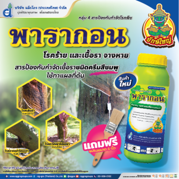 พารากอน